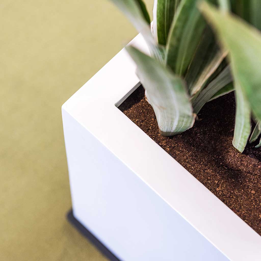 Block Planter Essential Matte White Edge