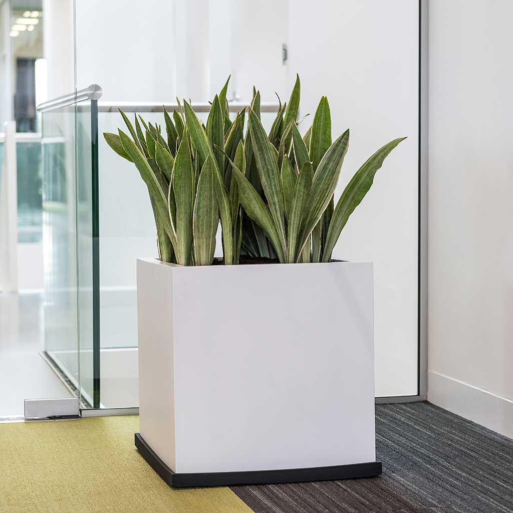 Block Essentials Planter - Matt White
