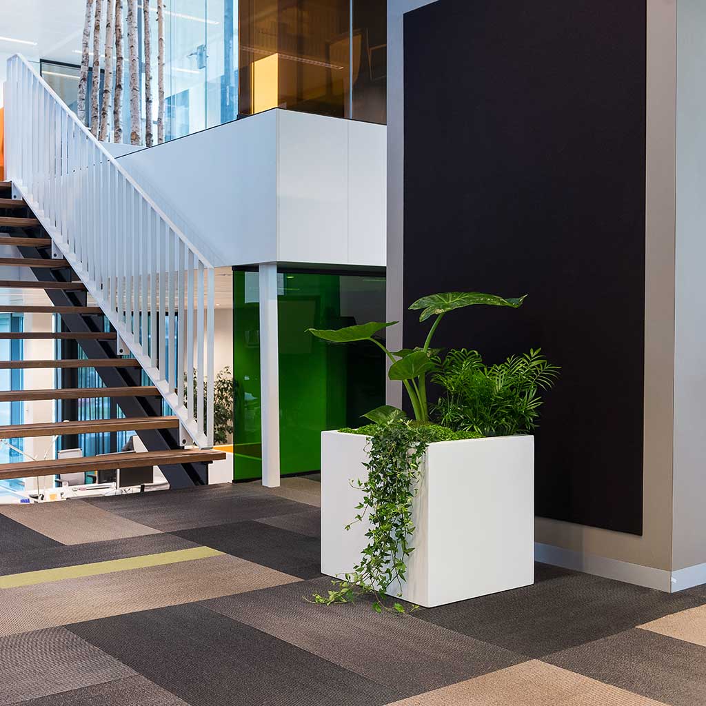 Block Planter Essential Matte White Office Stairwell