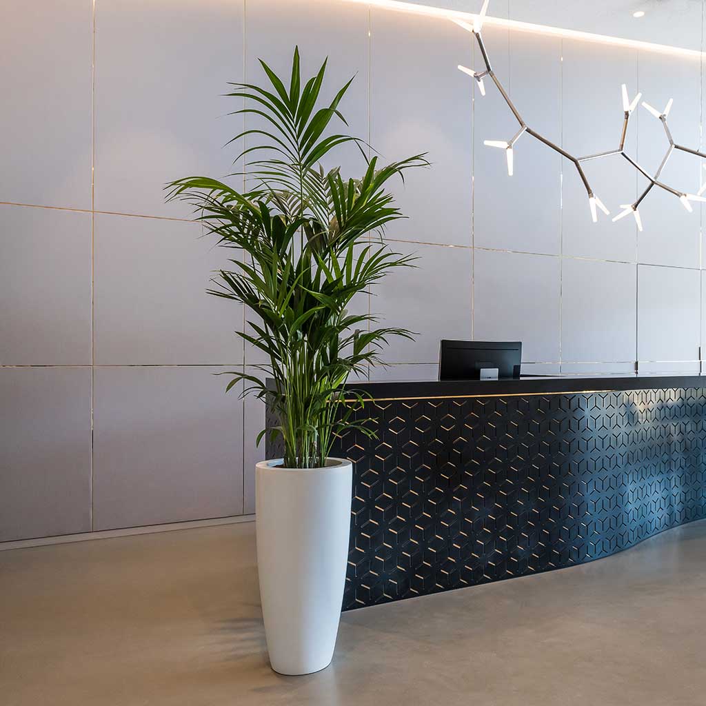 Dax Essentials Tall Planter - Matt White XLarge