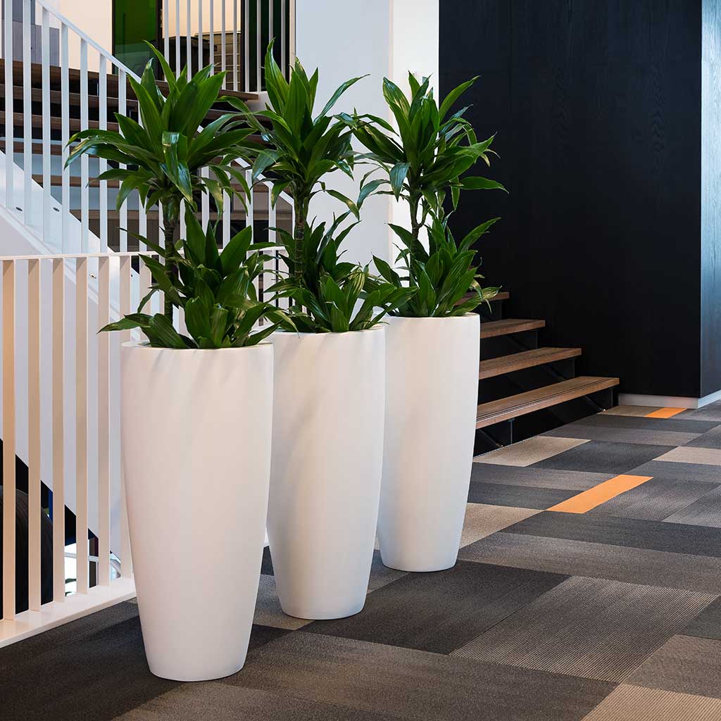 Dax Planter Essential Matte White Open Plan Office