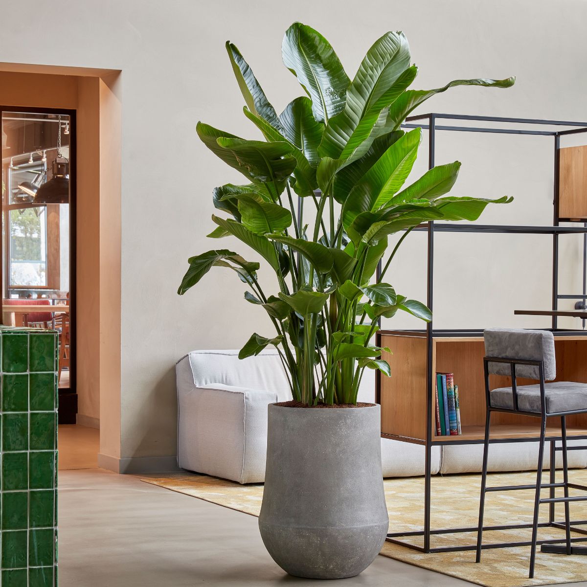 Polystone Cement Stone Planters