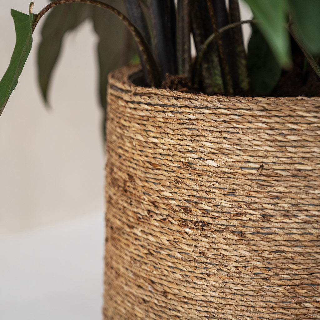 Patt Plant Pot - Straw Grass Close Up