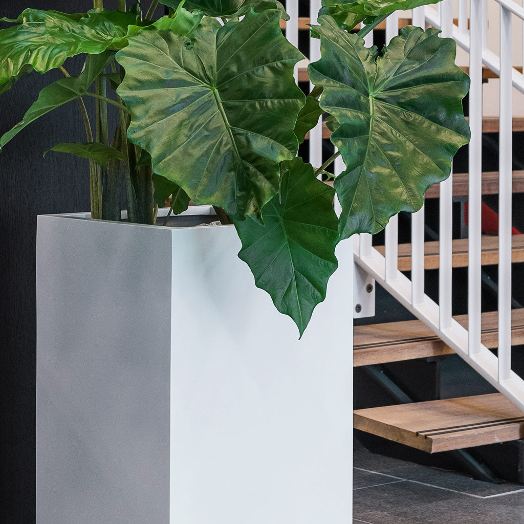 Bouvy Essentials Planter - Matt White & Alocasia Leaves
