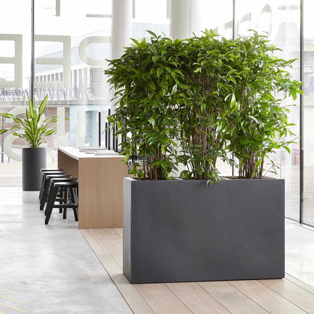 Solid Planters