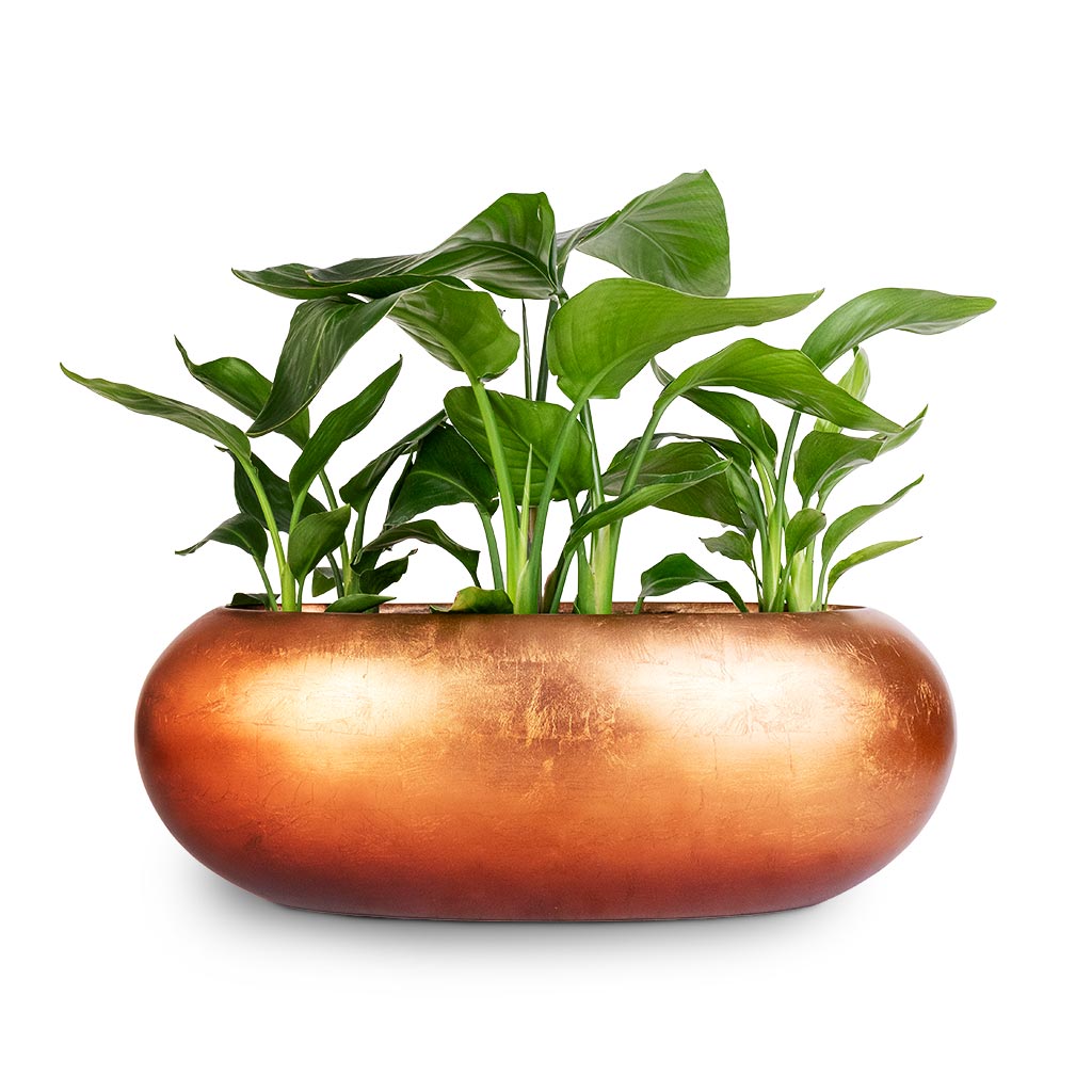 Metallic Boat Planter - Matt Copper