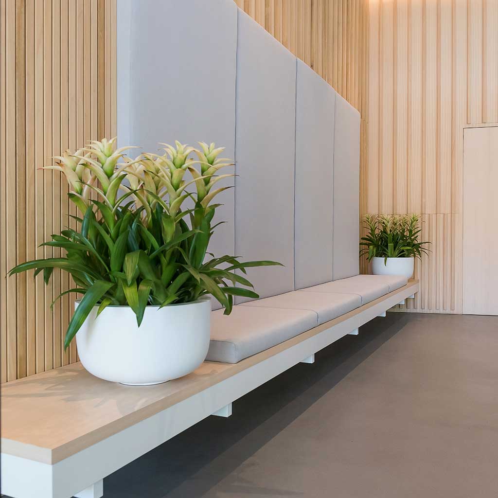 Sunny Essentials Bowl Planter - Matt White