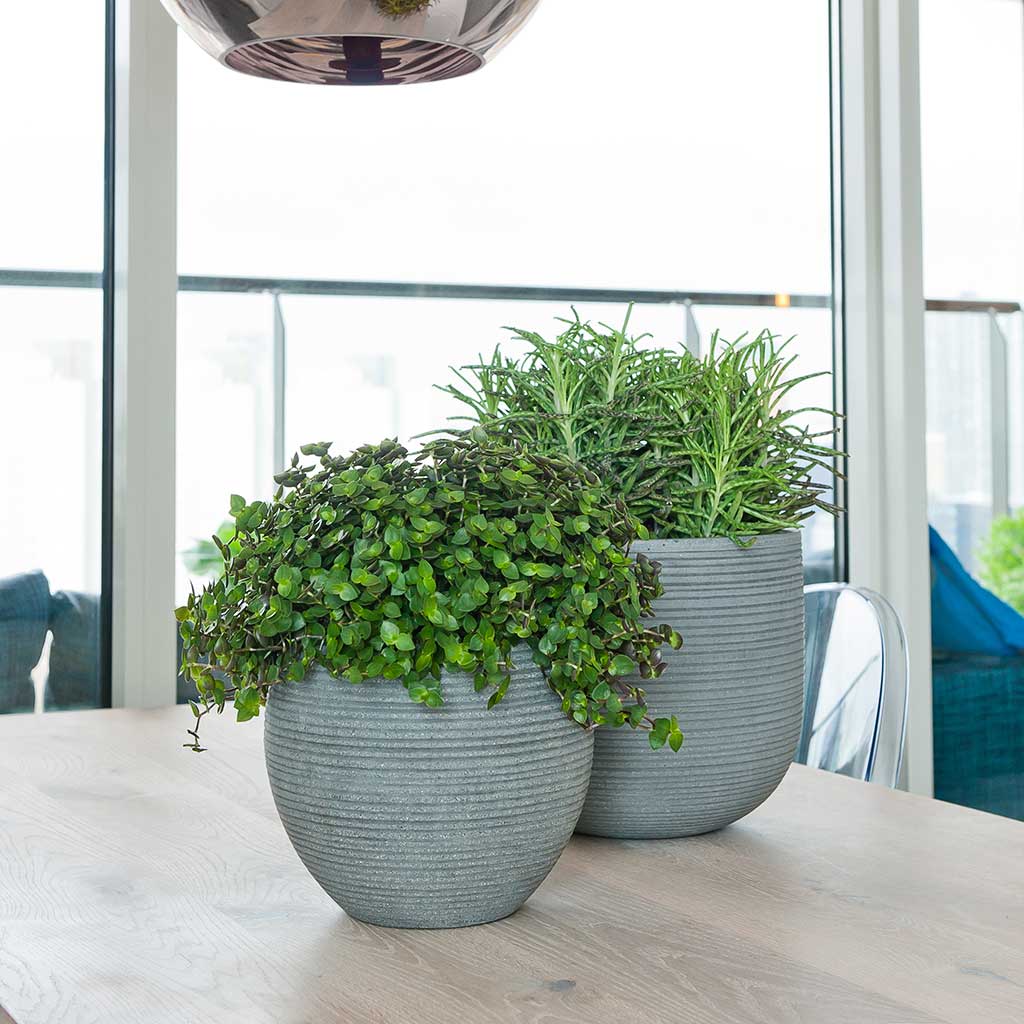 Abby Ball Plant Pot - Ridged Dark Grey 34.5 x 30cm