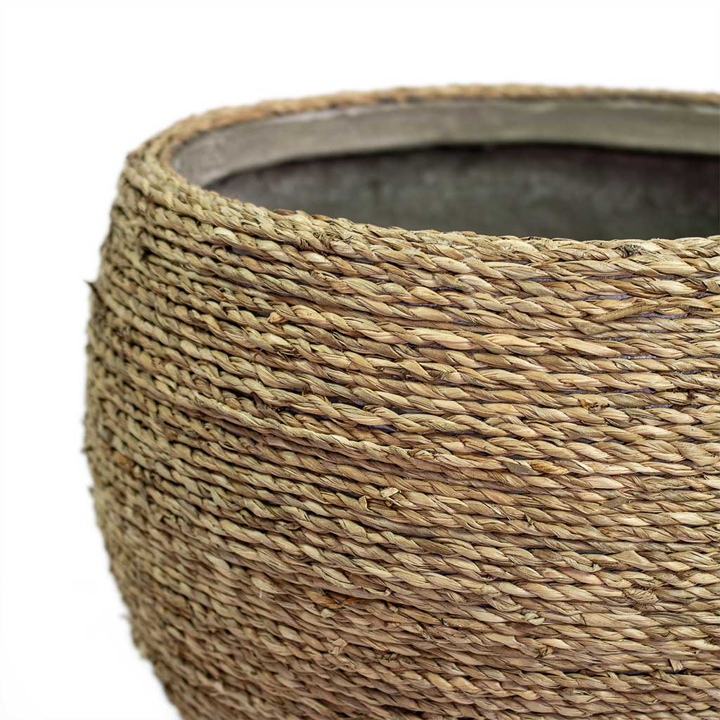 Abby Plant Pot Straw Grass Close-Up