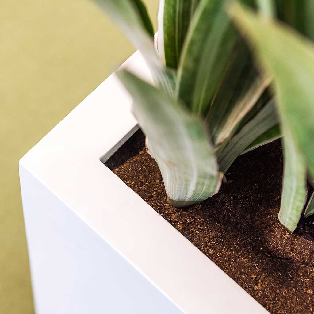 Balcony Planter - Matt White Close Up