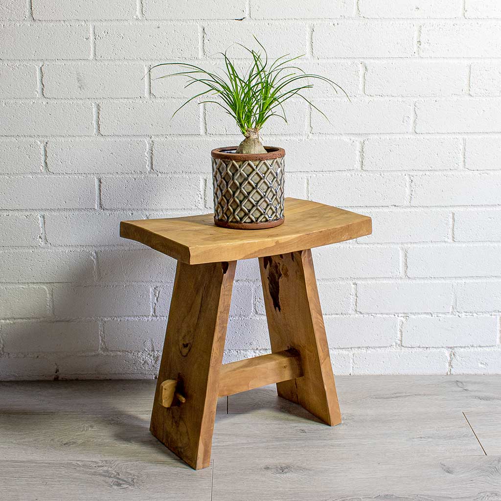 Beaucarnea Orb - 17x75cm In Grigio Cube Planter Natural Concrete - 30x30x30cm