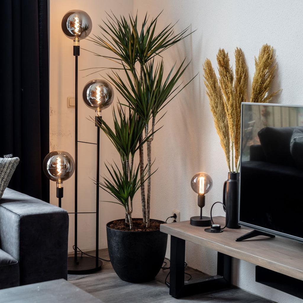Bola Artstone Plant Pot - Black & Dracaena