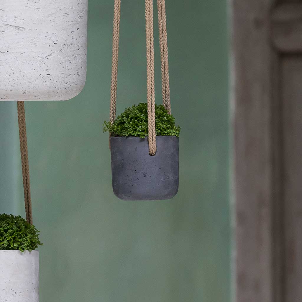 Charlie Hanging Plant Pot - Black Washed - X Small