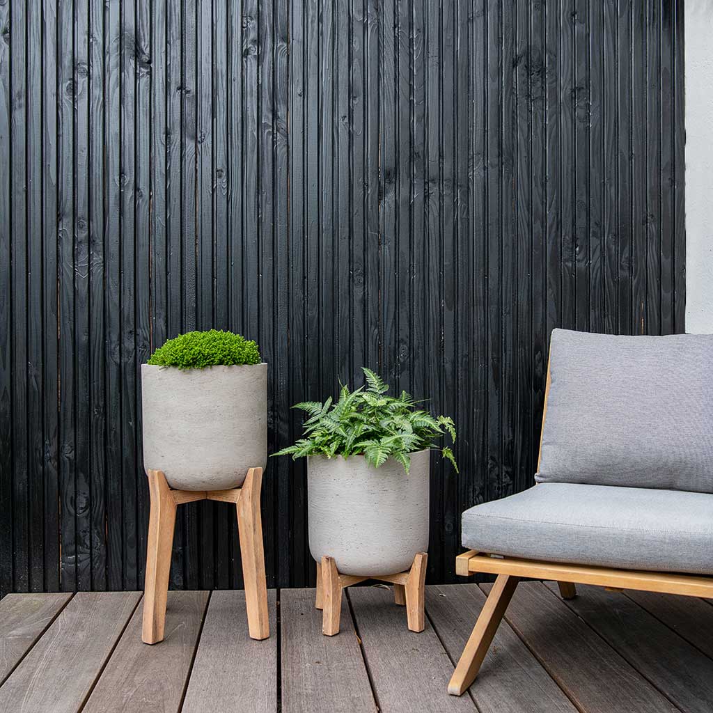 Charlie Plant Pot Tall Stand Grey Washed with Plants Lifestyle
