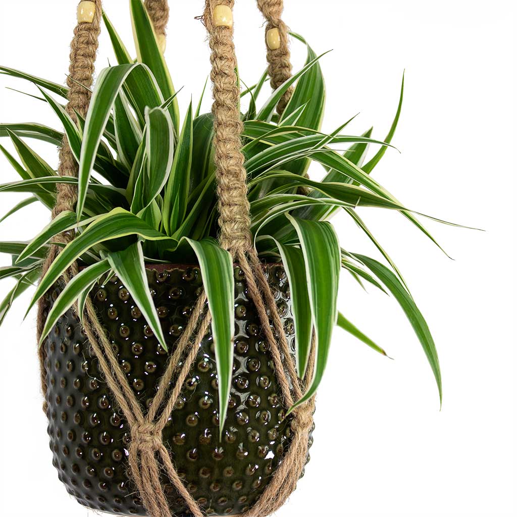 Macrame Plant Pot Hanger - Natural with Beads - 95cm