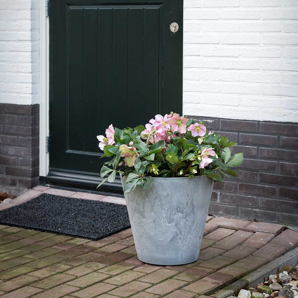 Claire Artstone Planted - Grey - Outdoor Planter