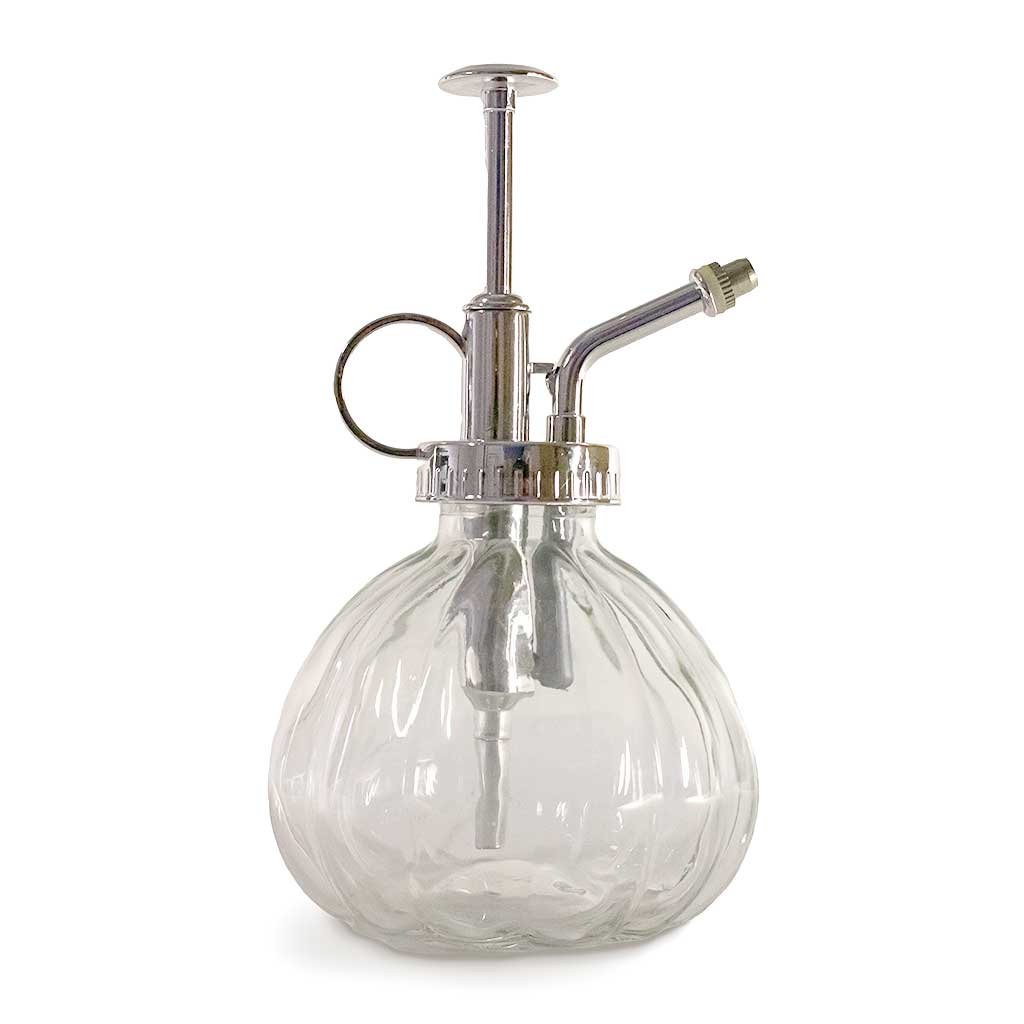 Clear Glass Houseplant Atomiser Mister