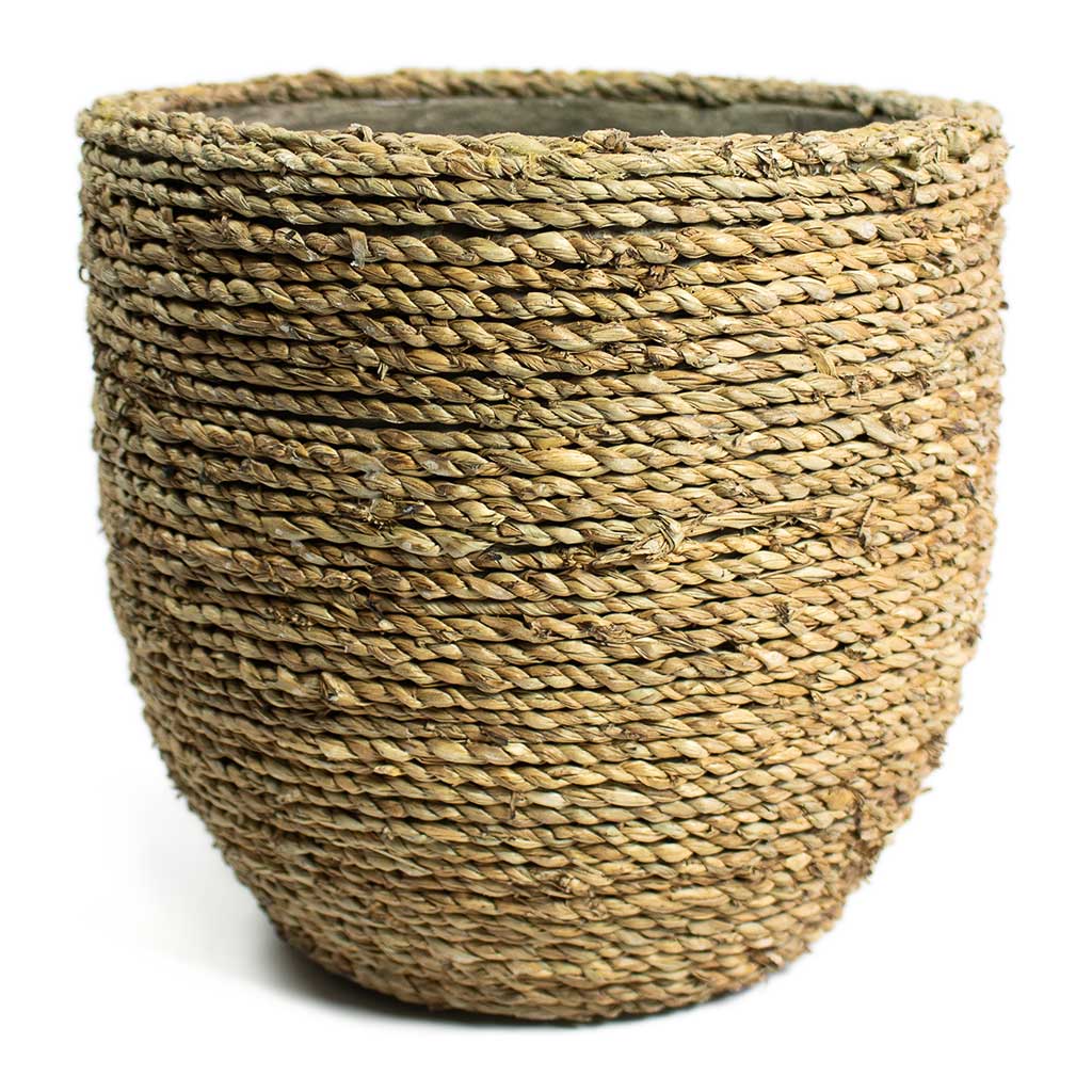 Cody Plant Pot Straw Grass Medium