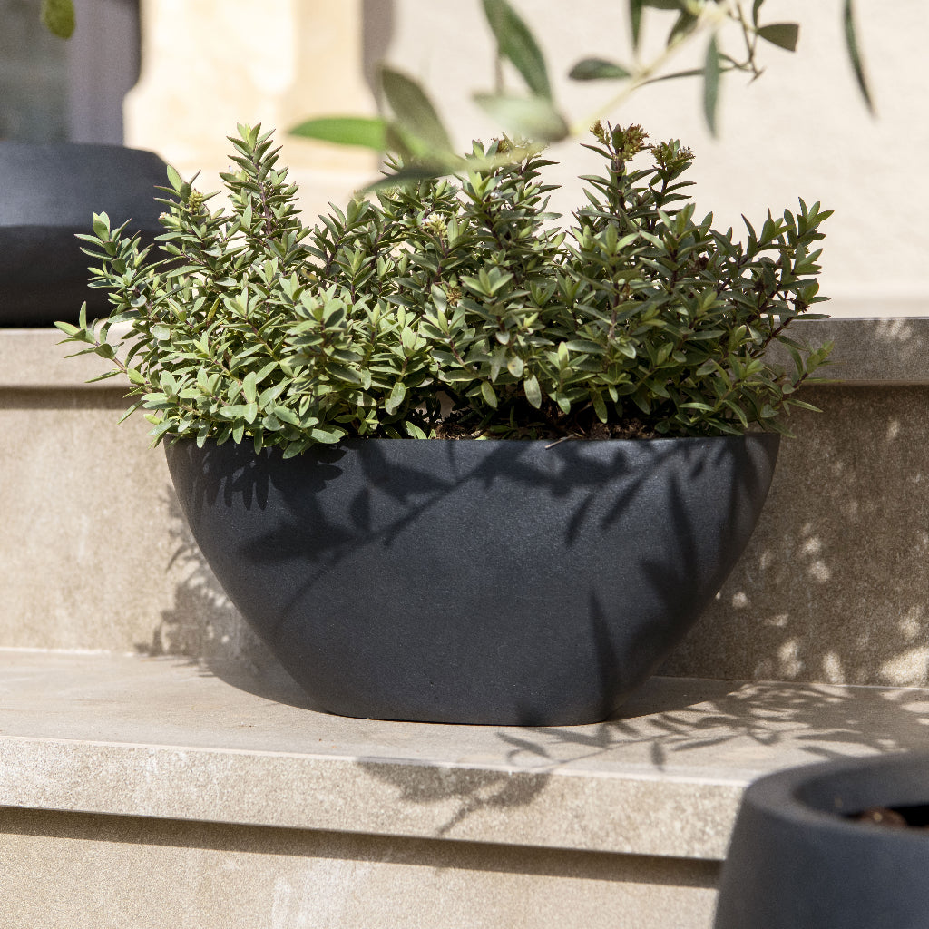 Dorant Natural Planter - Black In Sun On Step