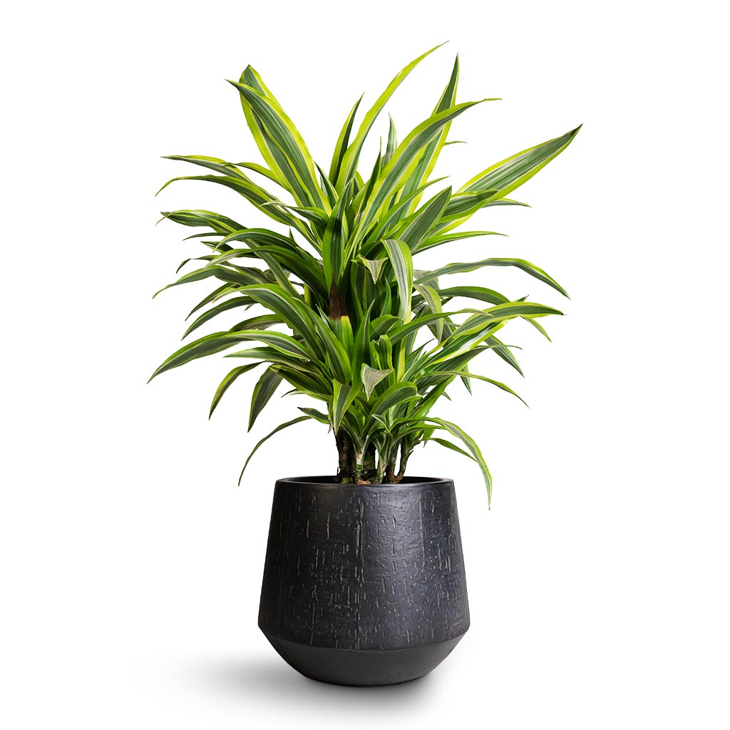 Raindrop Tube Round Planter - Anthracite