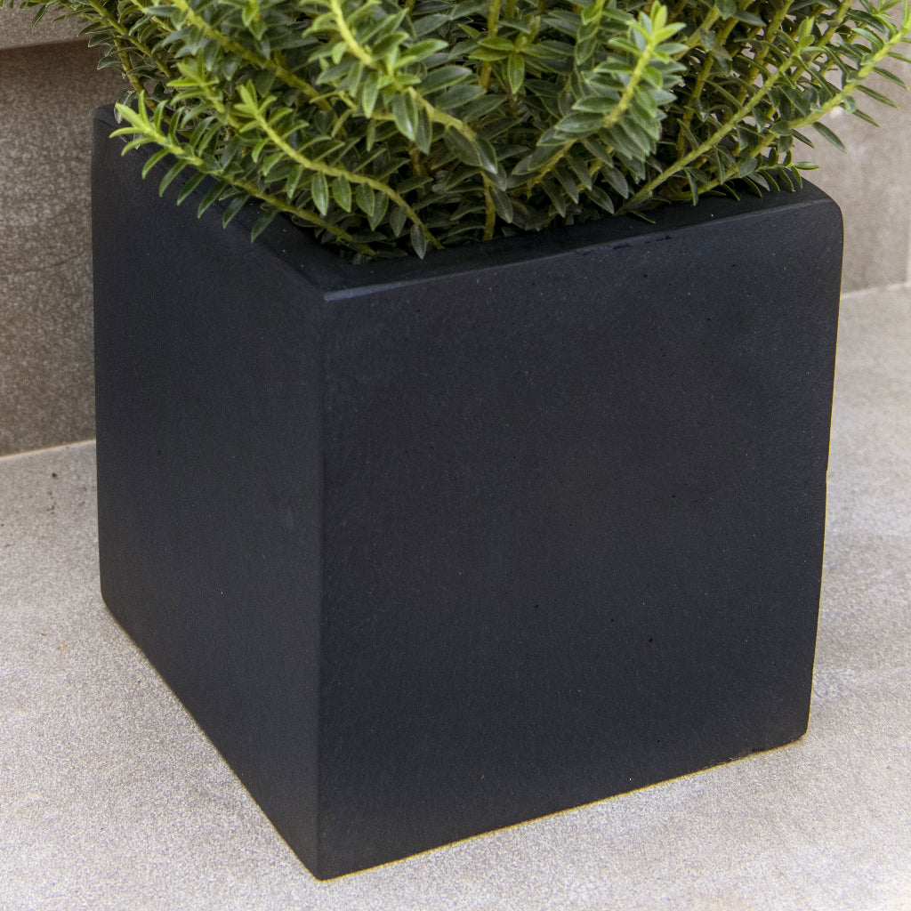 Fleur Natural Cube Planter - Black Close Up