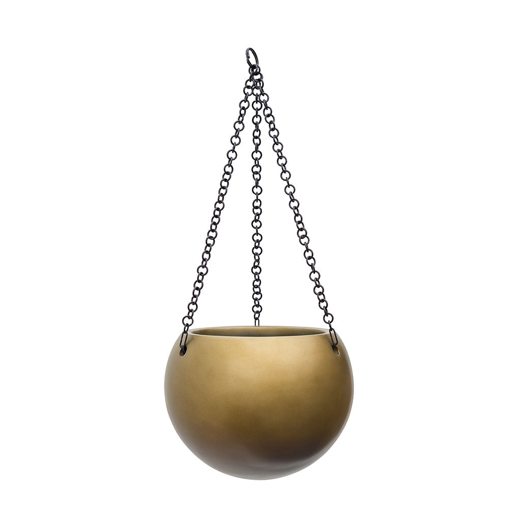 Gradient Hanging Plant Globe - Matt Honey