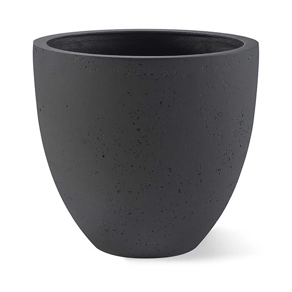 Grigio Egg Pot Planter - Anthracite Concrete
