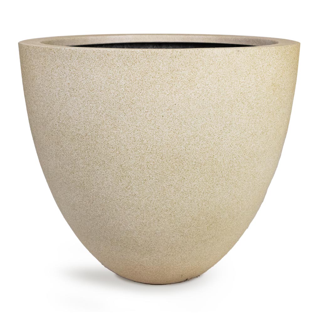 Grigio Egg Pot Planter - Antique White Concrete