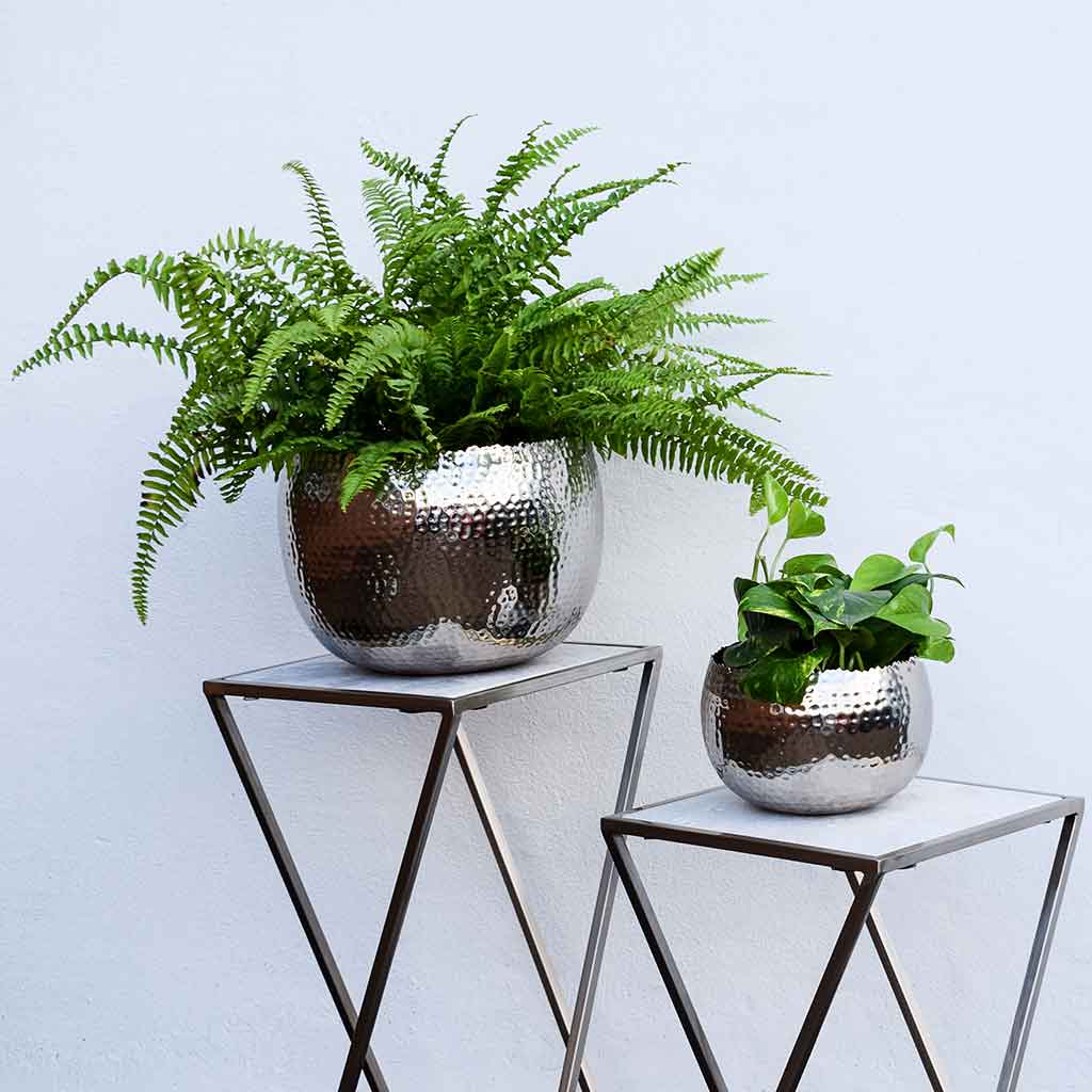 Hammered Bowl - Nickel with Black Planted