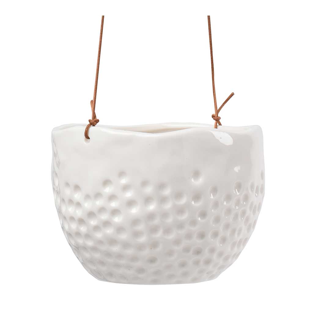 Dot Hanging Indoor Pots