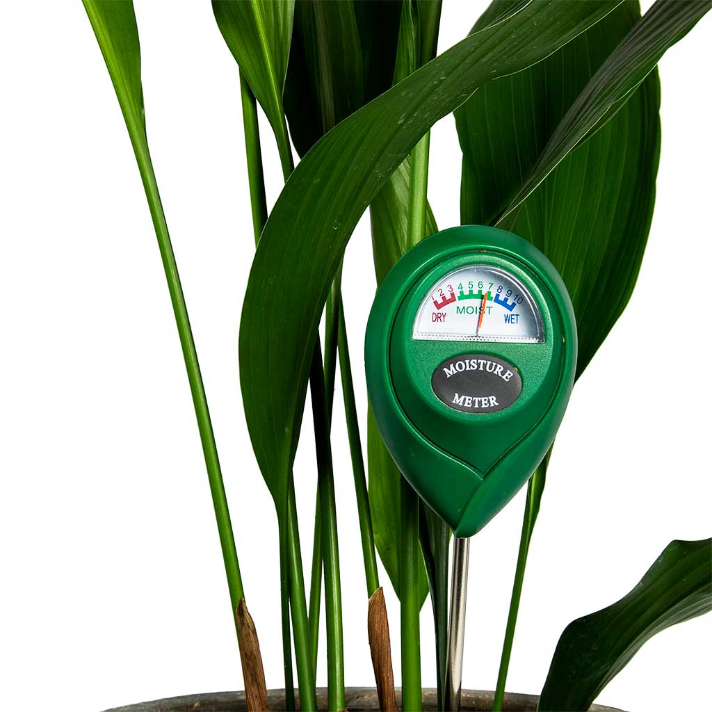 Houseplant Moisture Meter