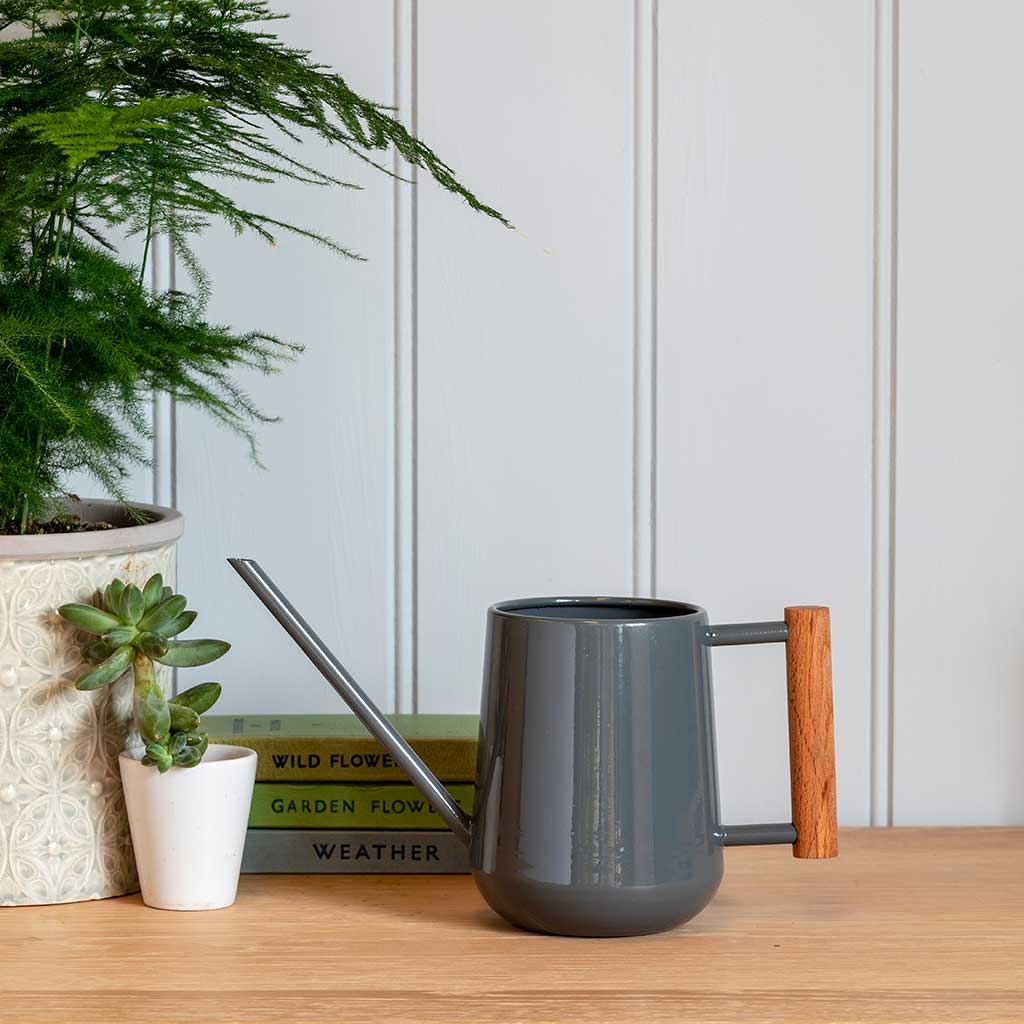 Indoor Watering Can 0.7L - Charcoal with Beech Handle