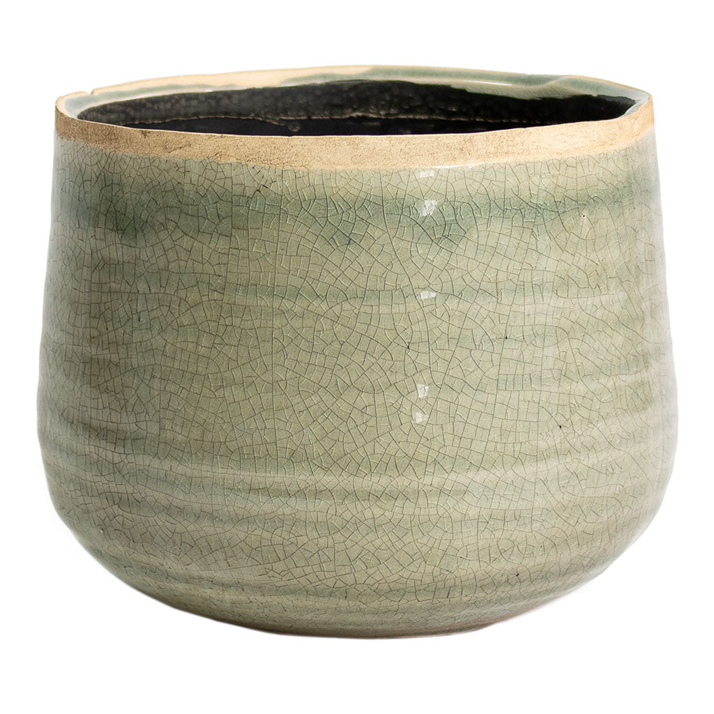 Iris Plant Pot - Mint Large