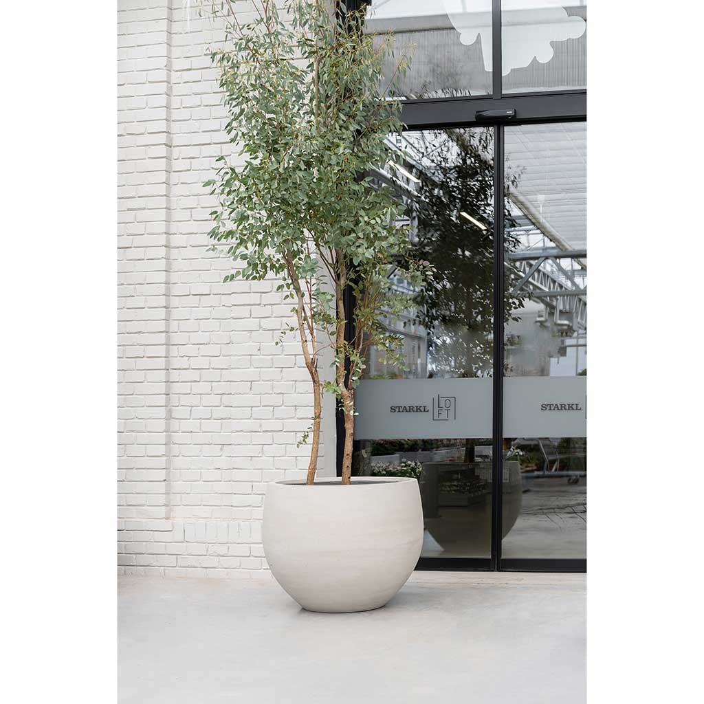 Jumbo Orb Planter Stone Washed & Garden Tree