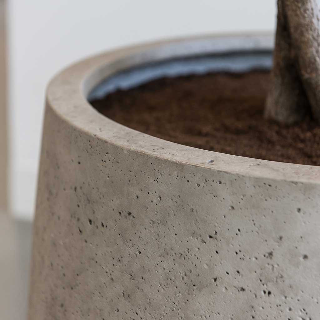 Jumbo Patt Planter Stone Washed Close Up