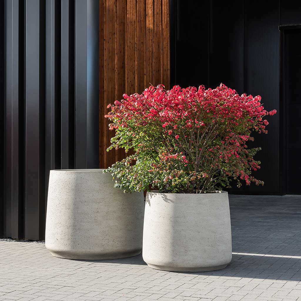 Jumbo Patt Planter - Stone Washed & Garden Plants