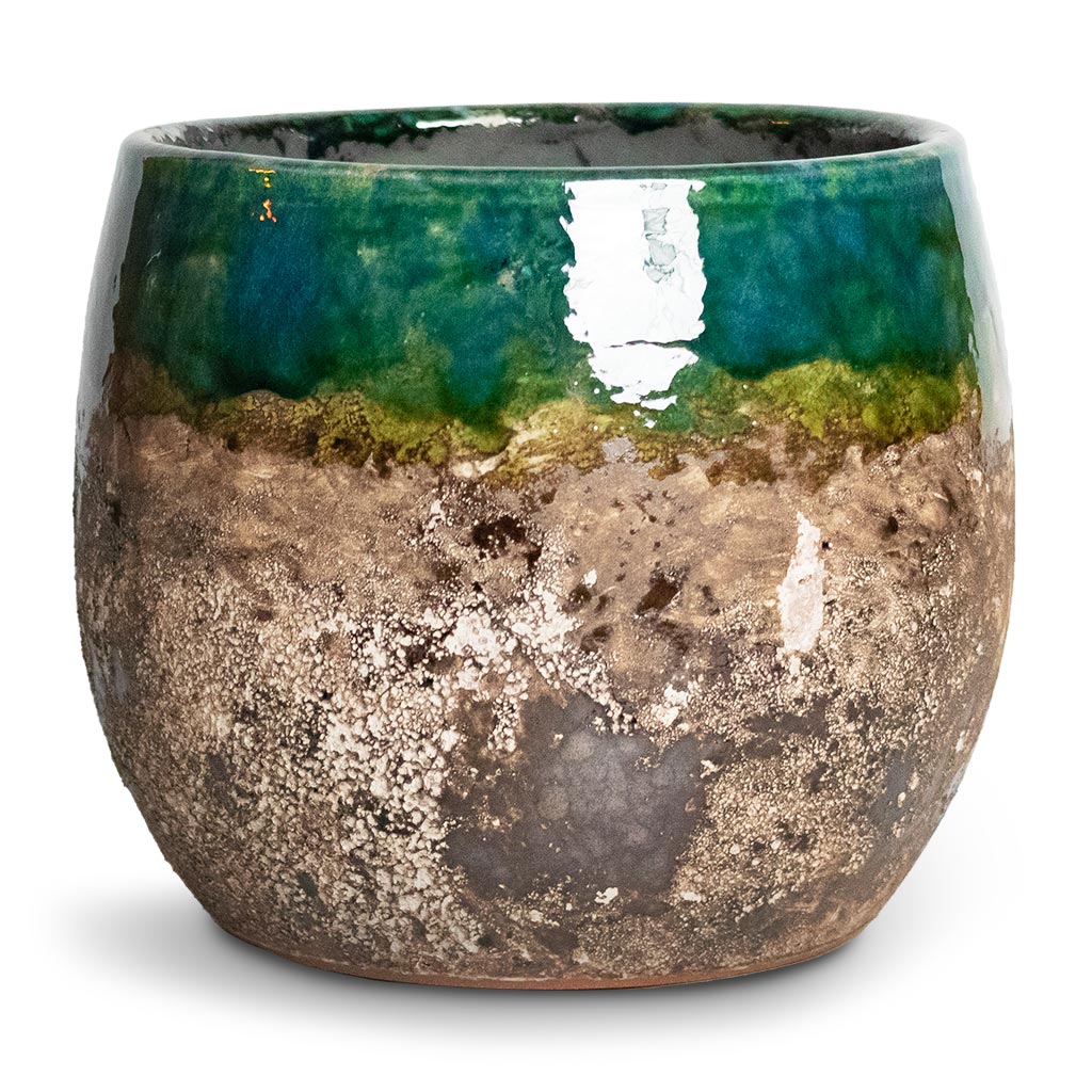 Lindy Plant Pot Black Green