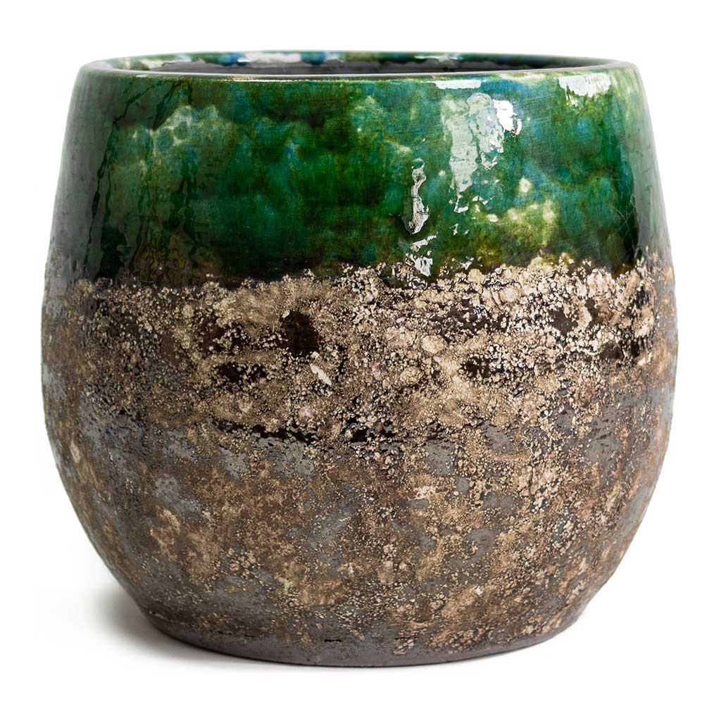 Lindy Plant Pot Black Green Large