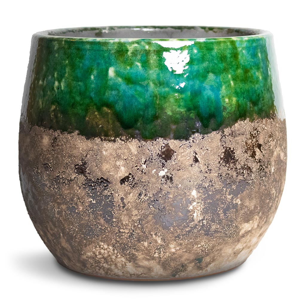 Lindy Plant Pot Black Green