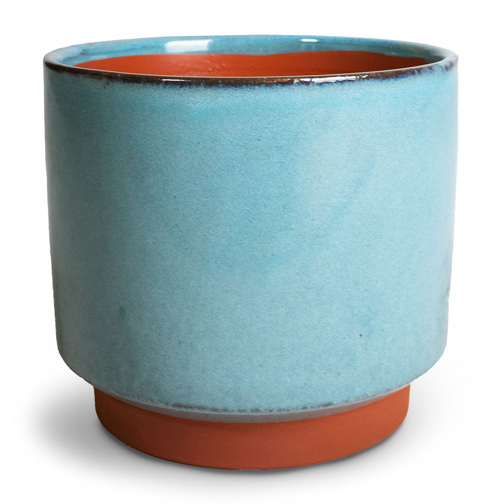 Malibu Plant Pot - Blue