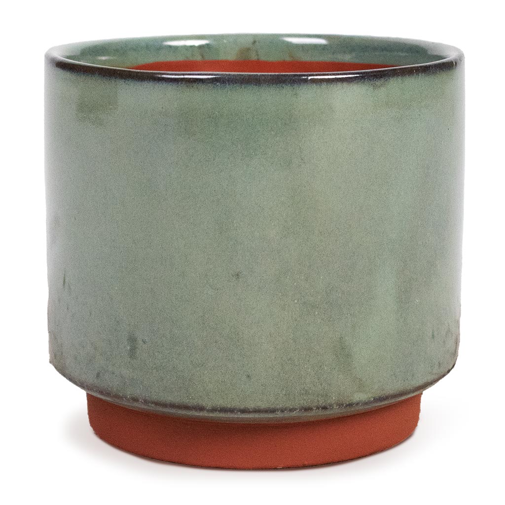 Malibu Plant Pot - Green