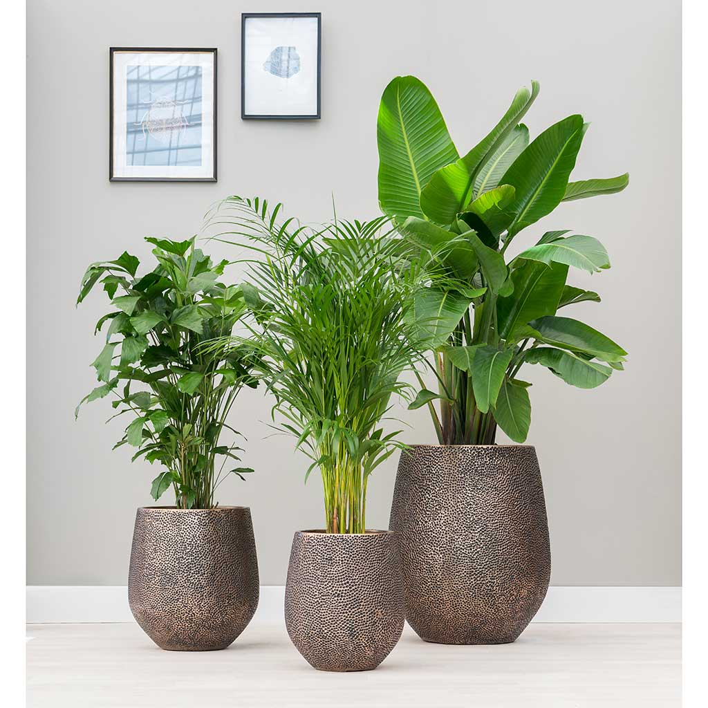 Opus Hit Darcy Planter Gold Lifestyle