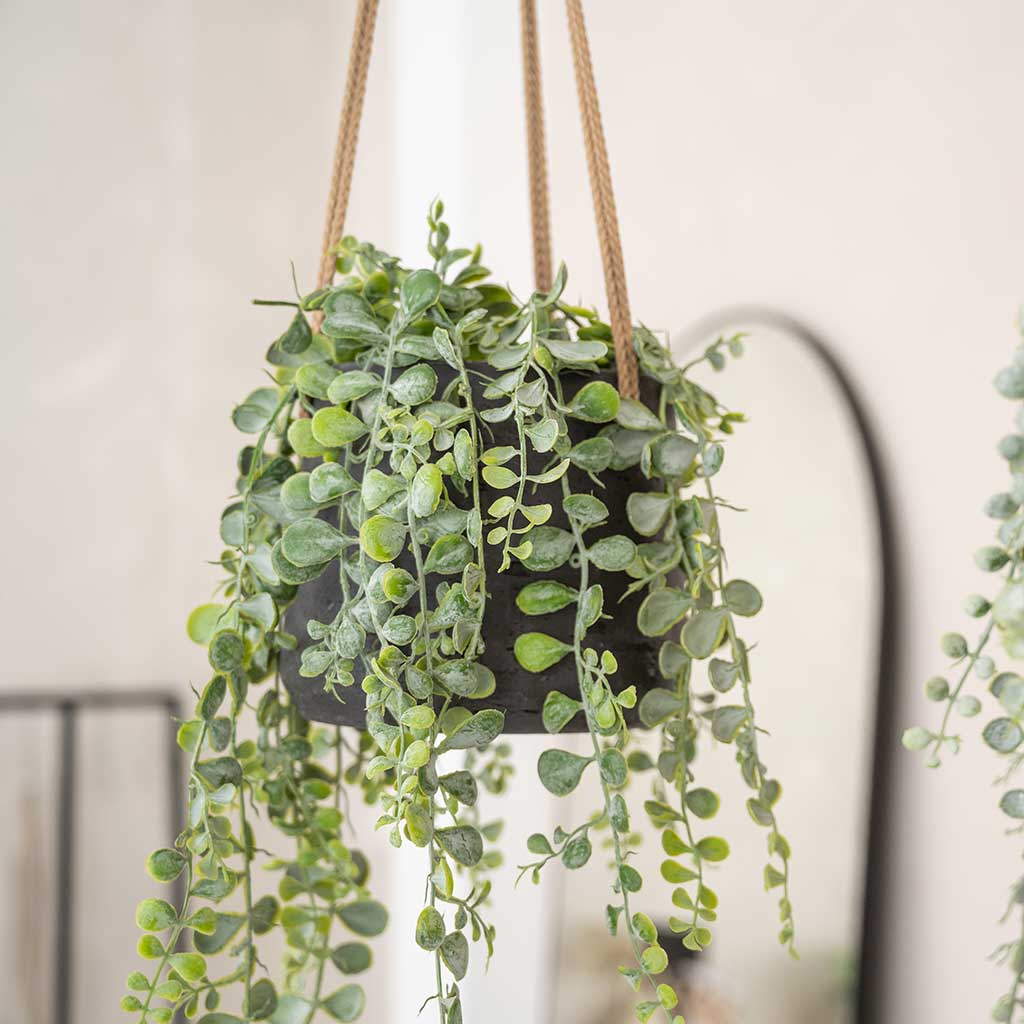 Patt Hanging Plant Pot Black Washed & Trailing Houseplant