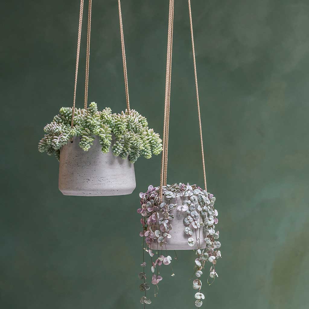 Patt Hanging Plant Pot - Grey Washed - XSmall