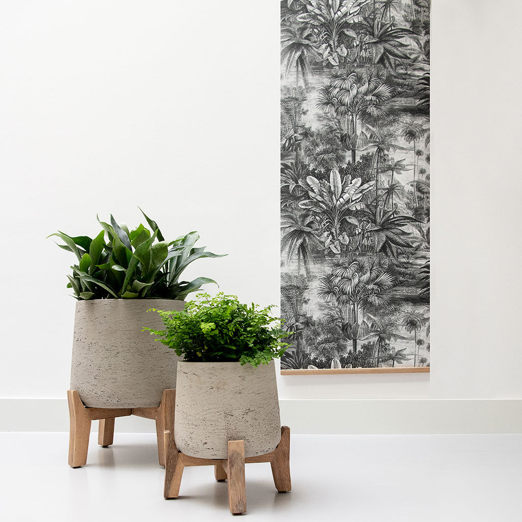 Patt Plant Pot Low Stand Grey Washed with Plants Lifestyle