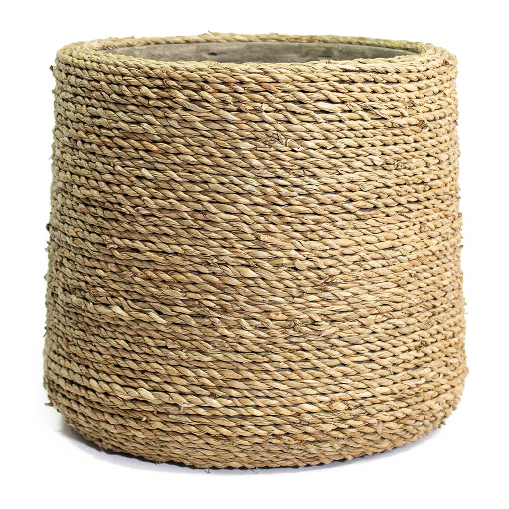 Patt Plant Pot Straw Grass Medium