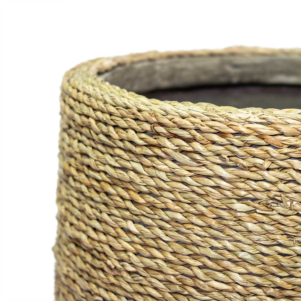 Patt Plant Pot Straw Grass Close-Up