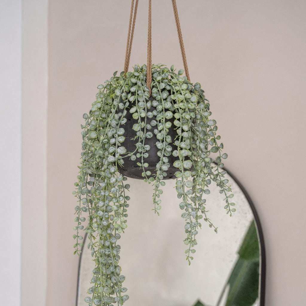 Patt Hanging Plant Pot - Black Washed & Artificial Trailing Houseplant