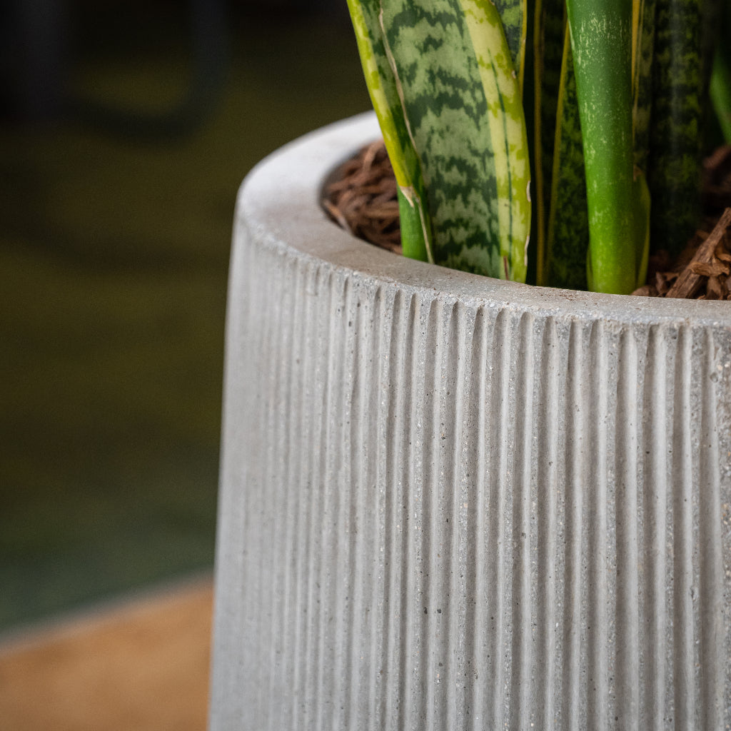 Patt High Plant Vase - Ridged Cement Close Up