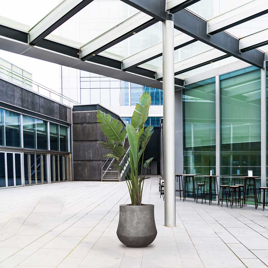 Polystone Coated Darcy Planter - Raw Grey & Indoor Plant